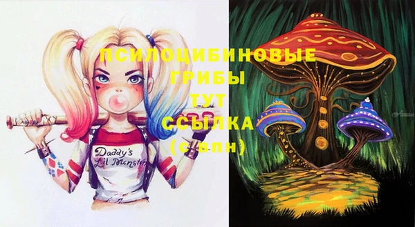 твердый Няндома