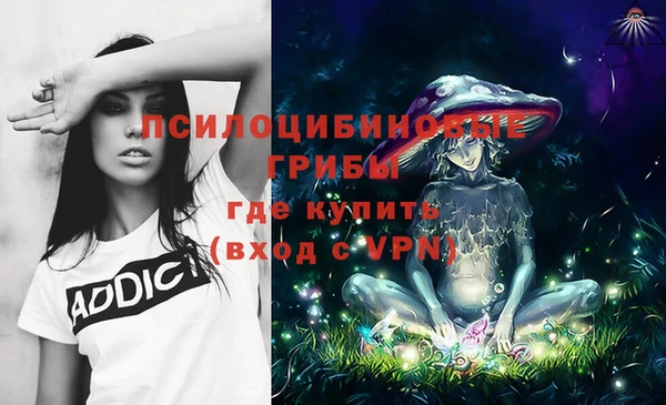 таблы Верхний Тагил