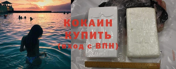 СК Новозыбков