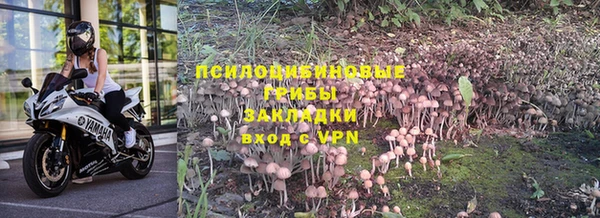 твердый Няндома