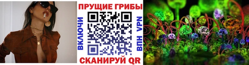 shop Telegram  закладки  Остров  Галлюциногенные грибы Magic Shrooms 